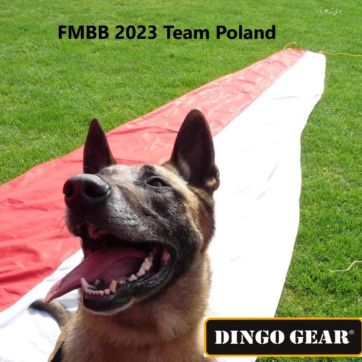 FMBB 2023 in Romania. Poland Team & Dingo Gear