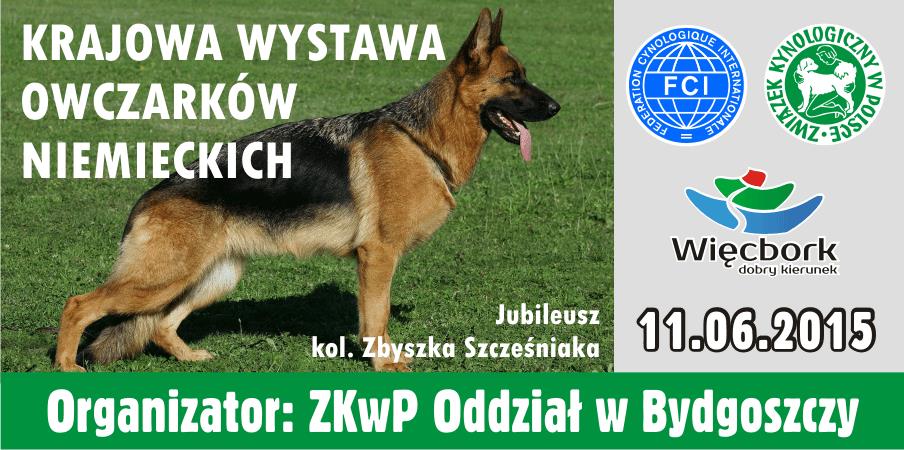 Krajowa Wystawa Owczarków Niemieckich Więcbork 11.06.2016