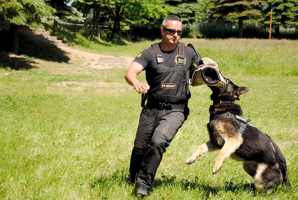 Szkolenie Psów „Spartakus K-9” Łukasz Kwiatek – partner Dingo Gear