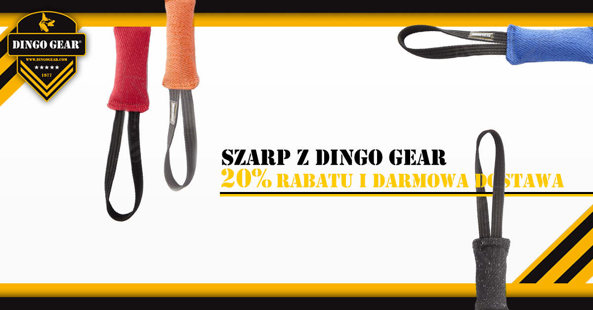 SZARP z Dingo Gear