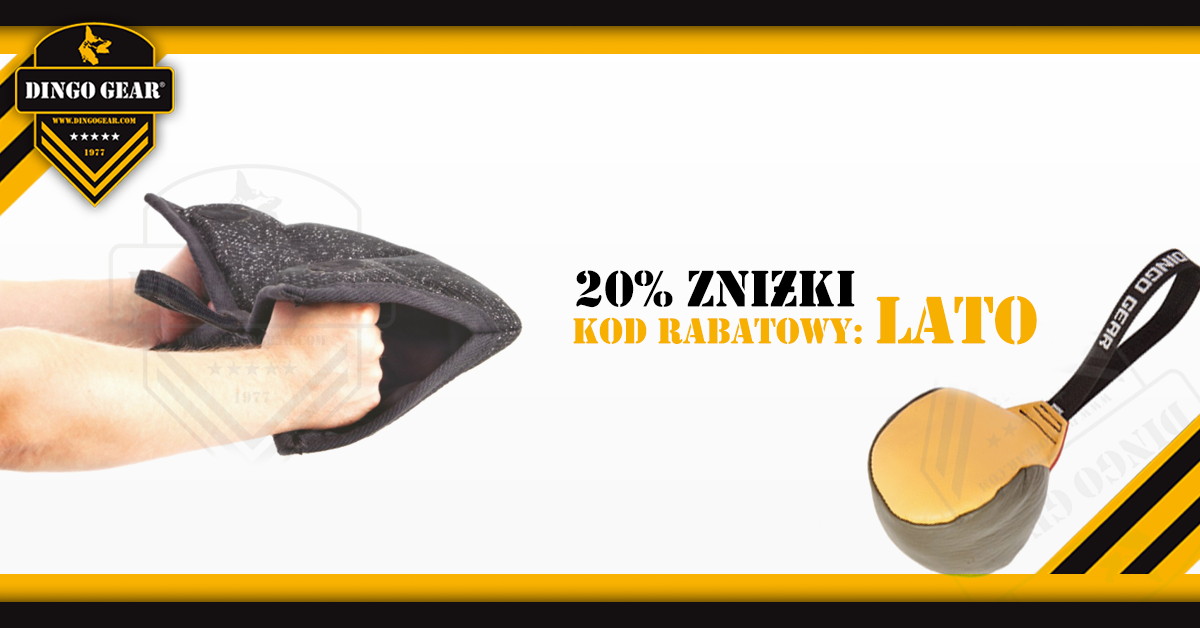 Letnia promocja – 20% rabatu na dostępny asortyment  Dingo Gear w dniach 12-17 lipca