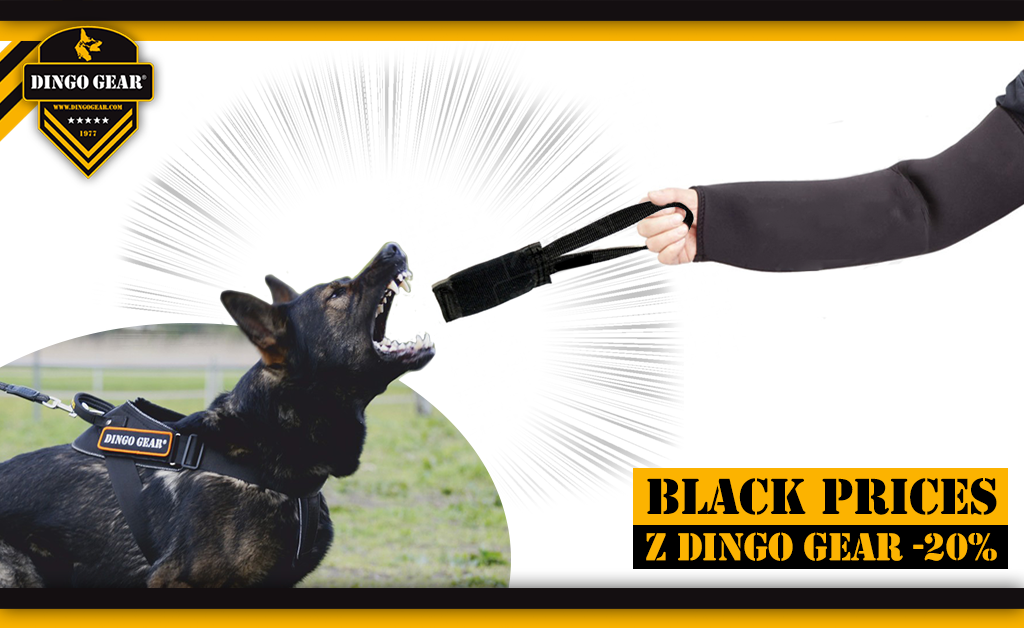 Black prices on Friday, Saturday and Sunday with Dingo Gear!