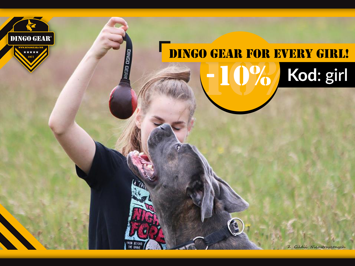 Dingo Gear for every girl!