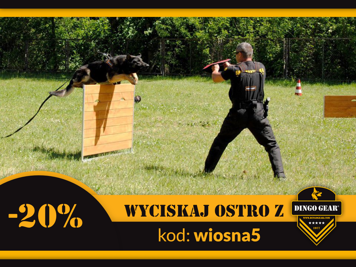 Wyciskaj ostro na wiosnę z Dingo Gear