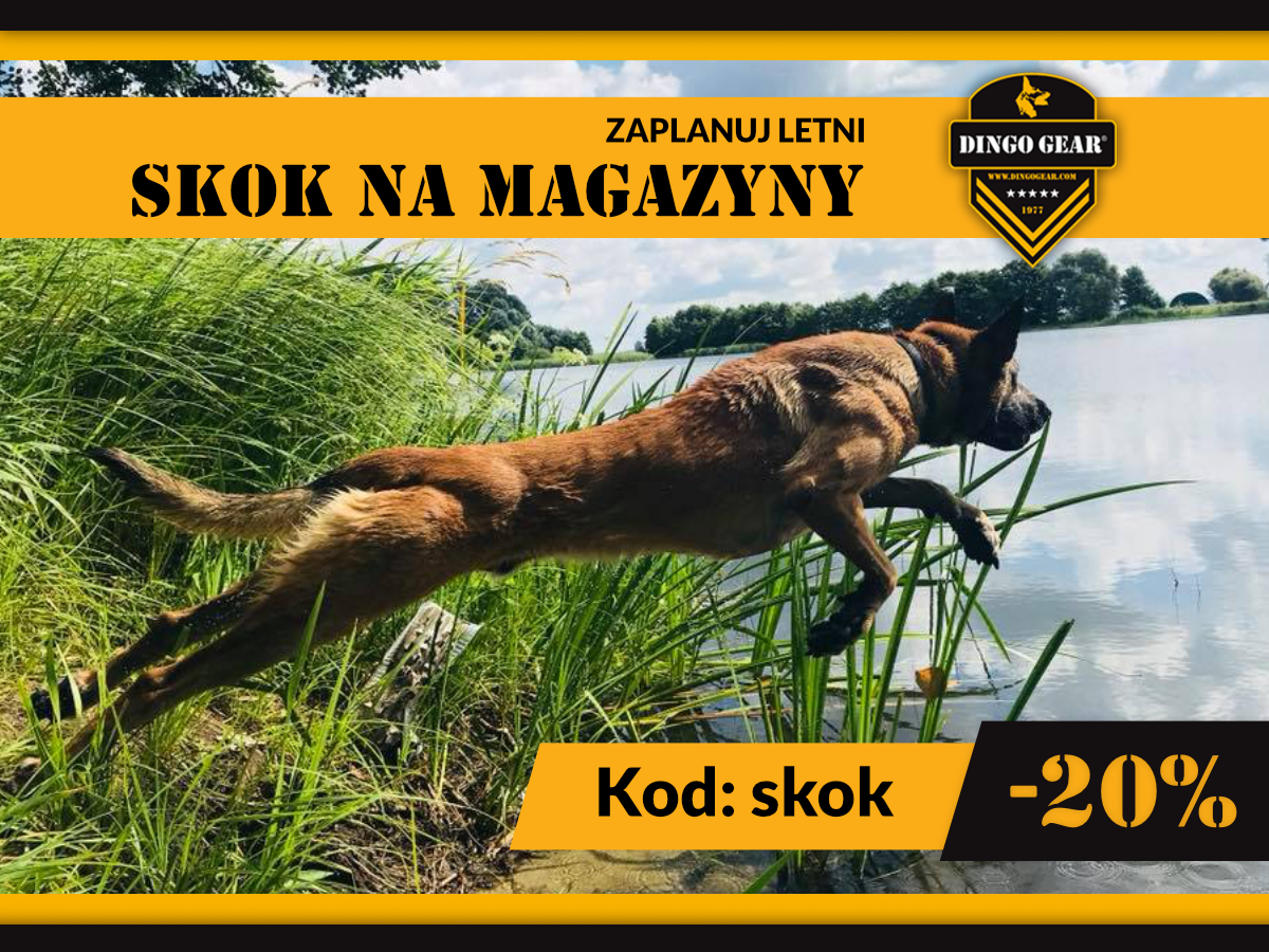 Zaplanuj letni skok na magazyny Dingo Gear!