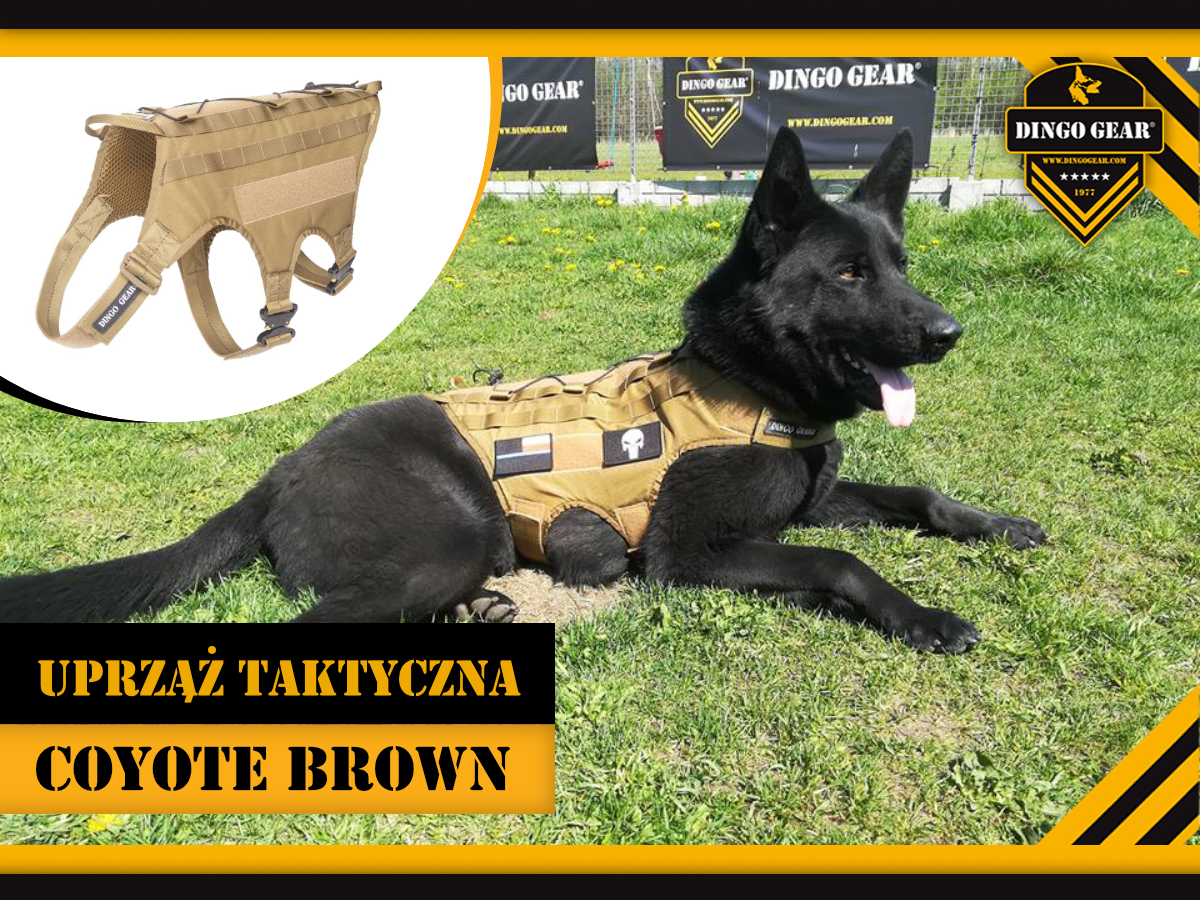 Uprząż taktyczna coyote brown