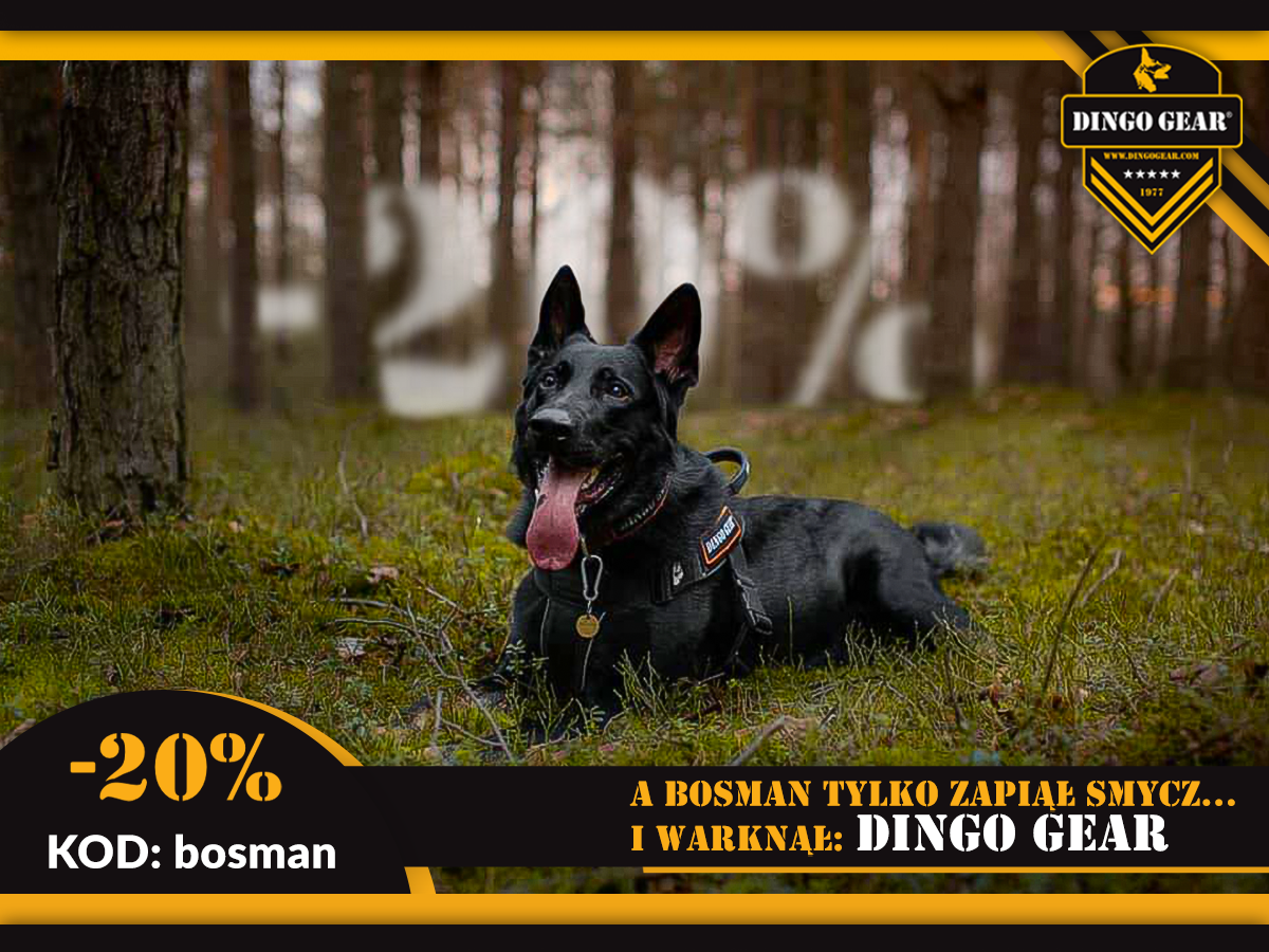 Dołącz do Bosmana i Dingo Gear