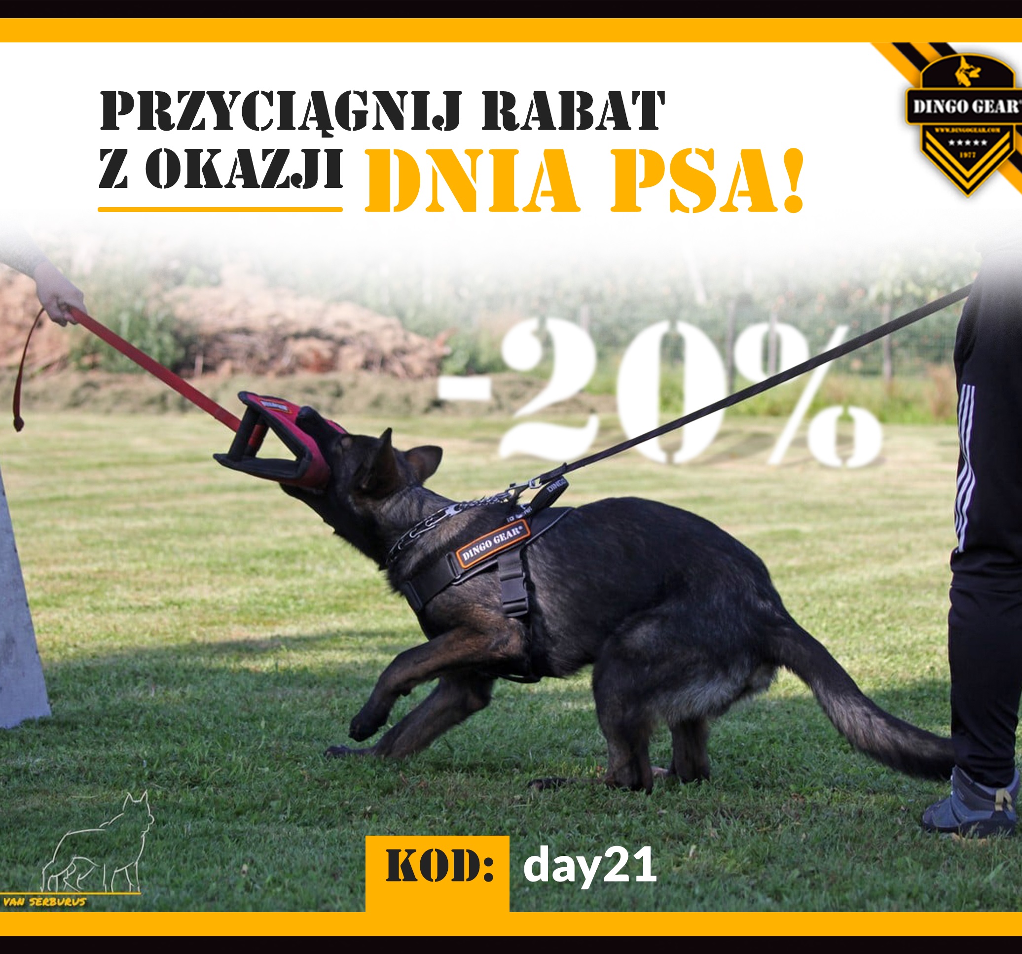 Gearowa promocja na Dzień Psa-przyciągnij rabat!!!