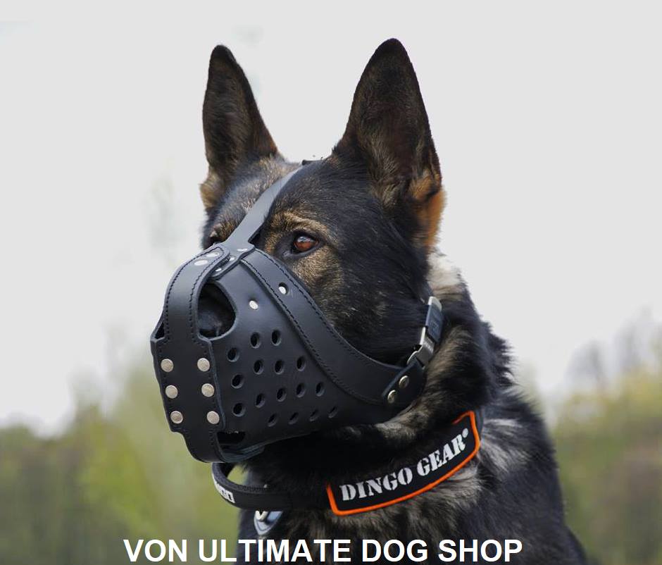 Our exclusive Business Partner in Australia: Von Ultimate Dog Shop