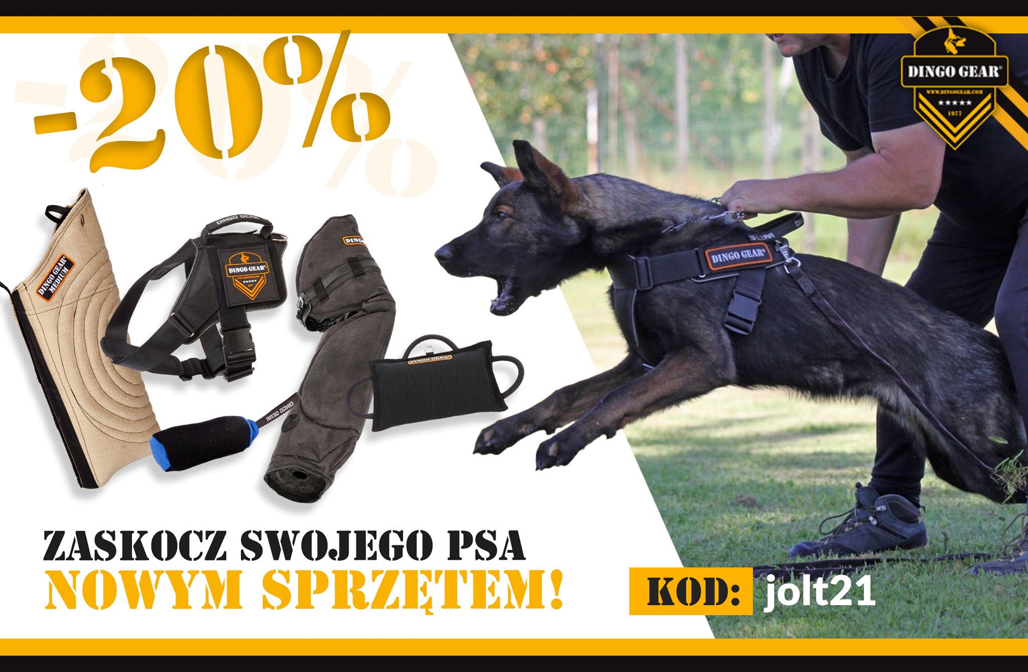 Zaskocz swojego psa innym sprzętem od Dingo Gear!