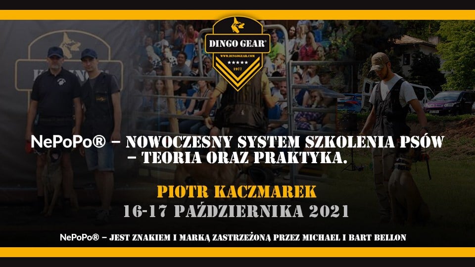 Nepopo -nowoczesny system szkolenia psów na placu Dingo Gear