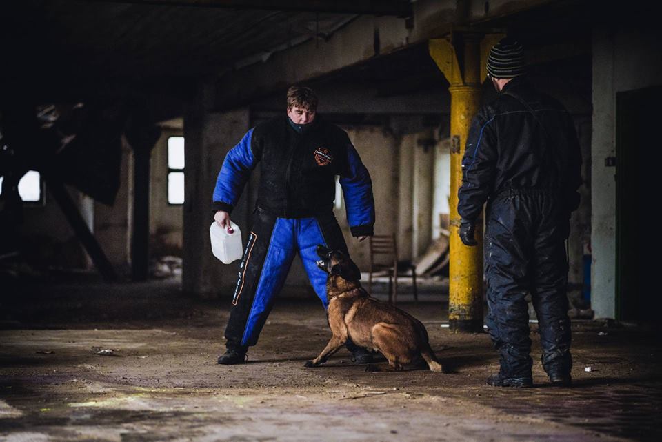 Pozorant byłby bez szans! Trening z psami w wykonaniu naszych partnerów z Czechdogsport K9 Store.