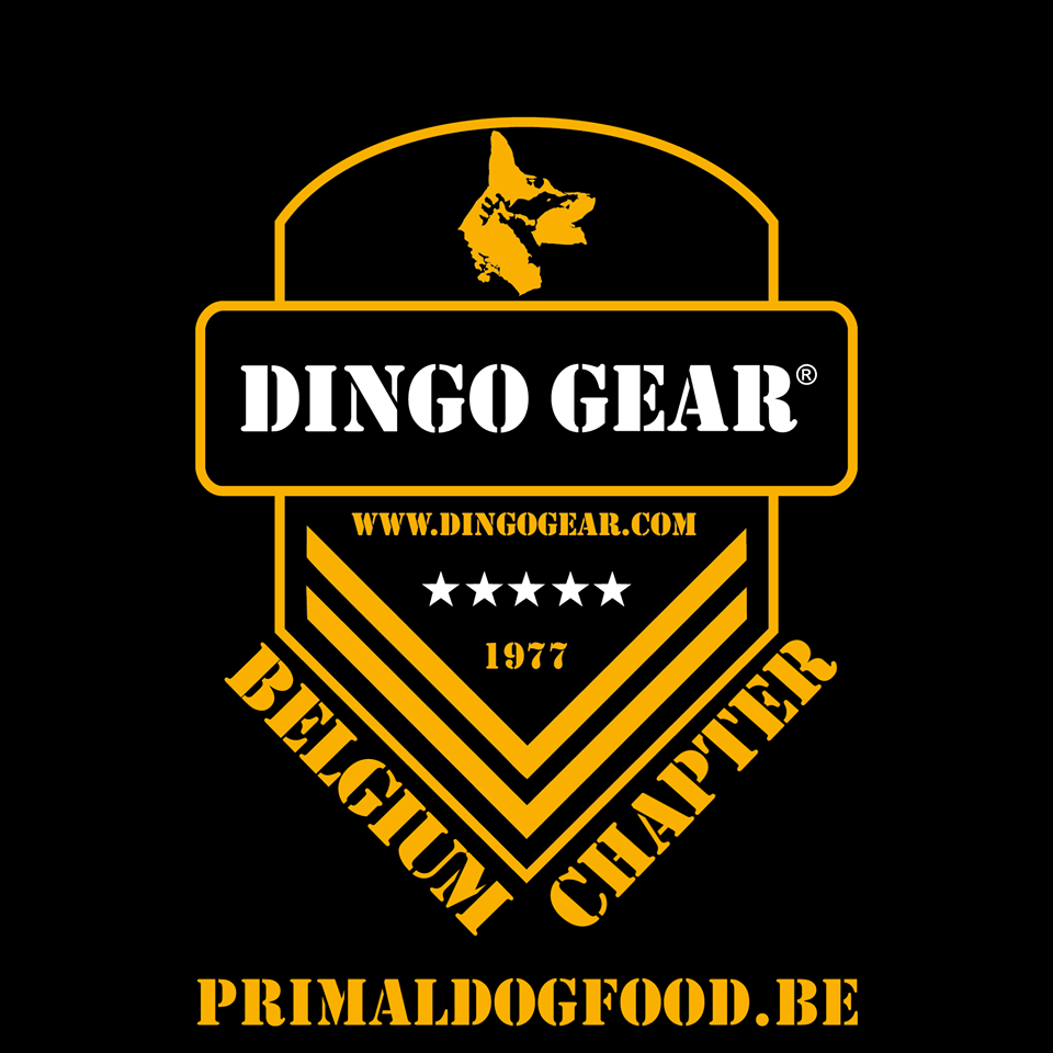 Dingo Gear Belgia – Primal Dog Food