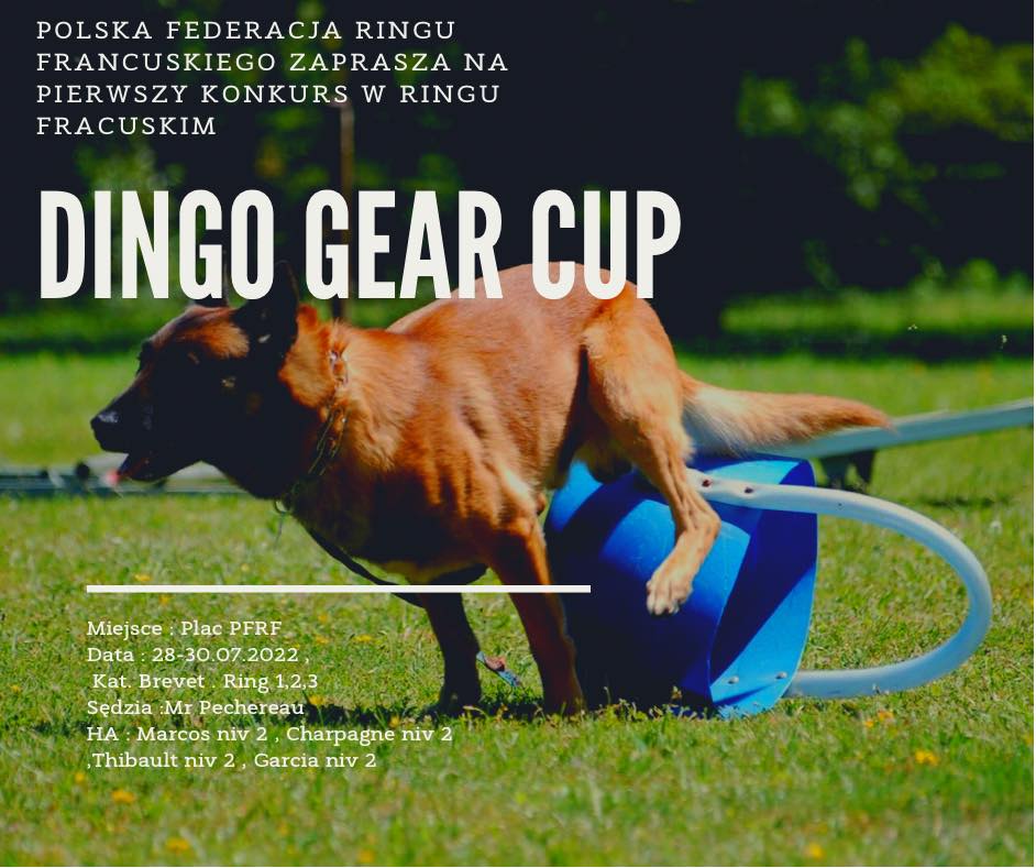 Polska Federacja Ringu Francuskiego – Dingo Gear Cup 28-30.07.2022 w Sadlinki.