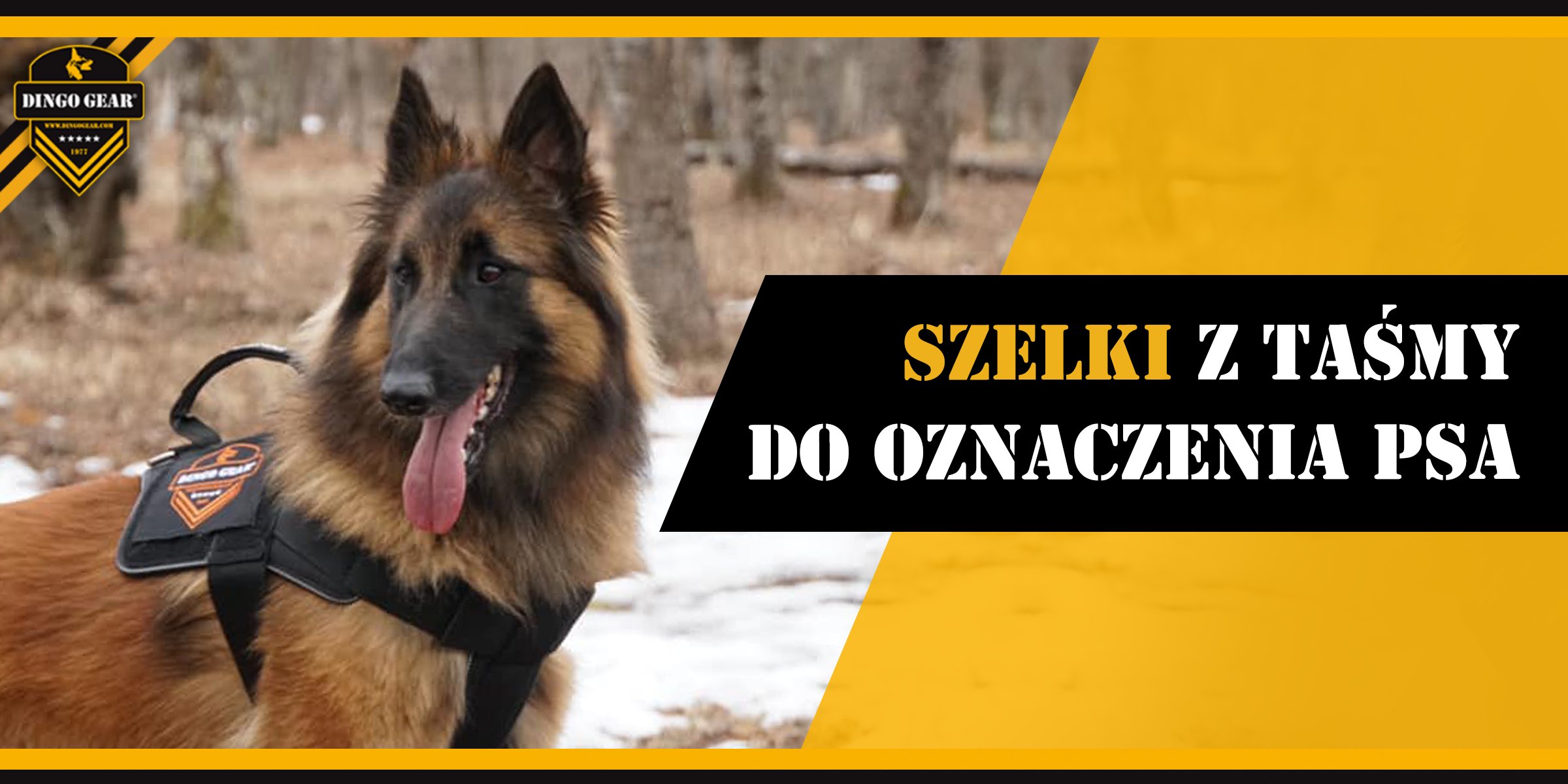 Wykorzystaj szelki z taśmy do oznaczania psa