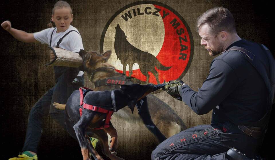 Wilczy Mszar – Tomasz Wojciechowski- partner Dingo Gear