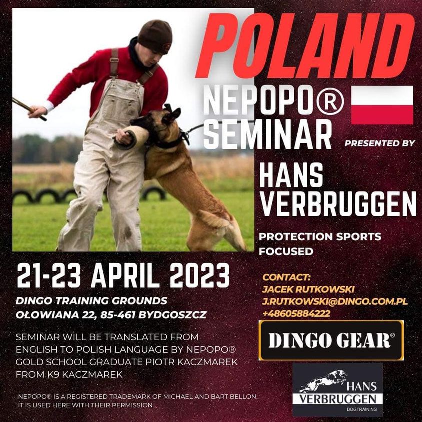 NePoPo – nowoczesny system szkolenia psów – praca psa w obronie, praca pozoranta. Bydgoszcz, plac Dingo Gear, ( ul. Ołowiana 22 )  21-23.04.2023