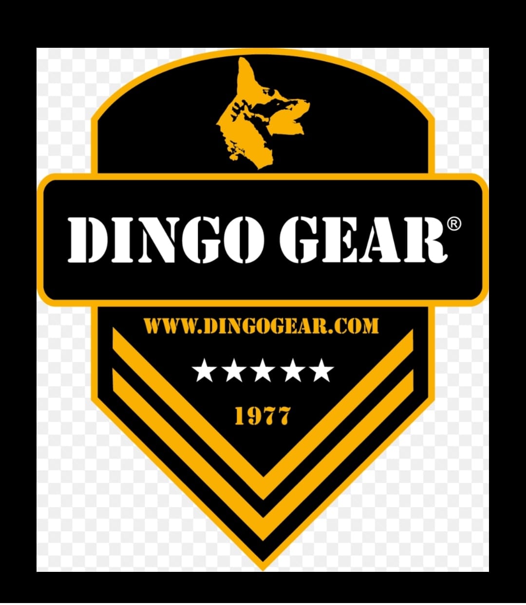 Trenuj ze sprzętem Dingo Gear-rekomendacja