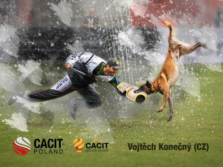 Przygotuj się na CACIT Poland IGP FCI 2023
