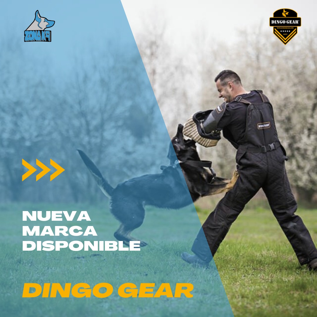 Przeczytaj rekomendację na Facebooku dotyczącą marki Dingo Gear od ZONA k9 z dnia 24.04.2023