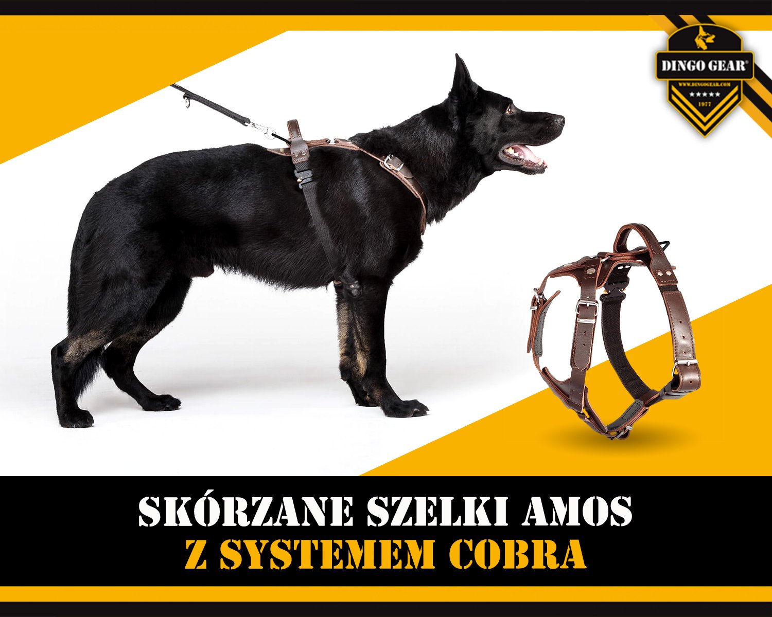 Marzysz o nowym sprzęcie takim jak szelki AMOS COBRA SYSTEM?