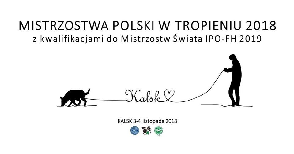 Mistrzostwa Polski w Tropieniu 3-4.11.2018 Kalsk – kwalifikacje do Mistrzostw Świata IPO-FH2019