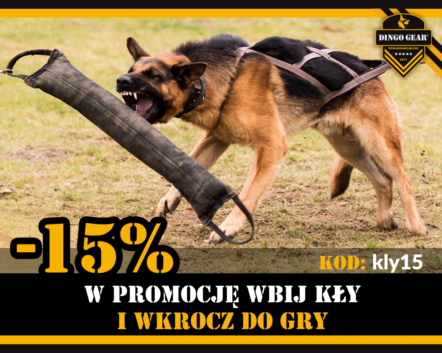 Wbijaj kły w promocję w dniach 11-13.08.2023 i wkrocz do gry.