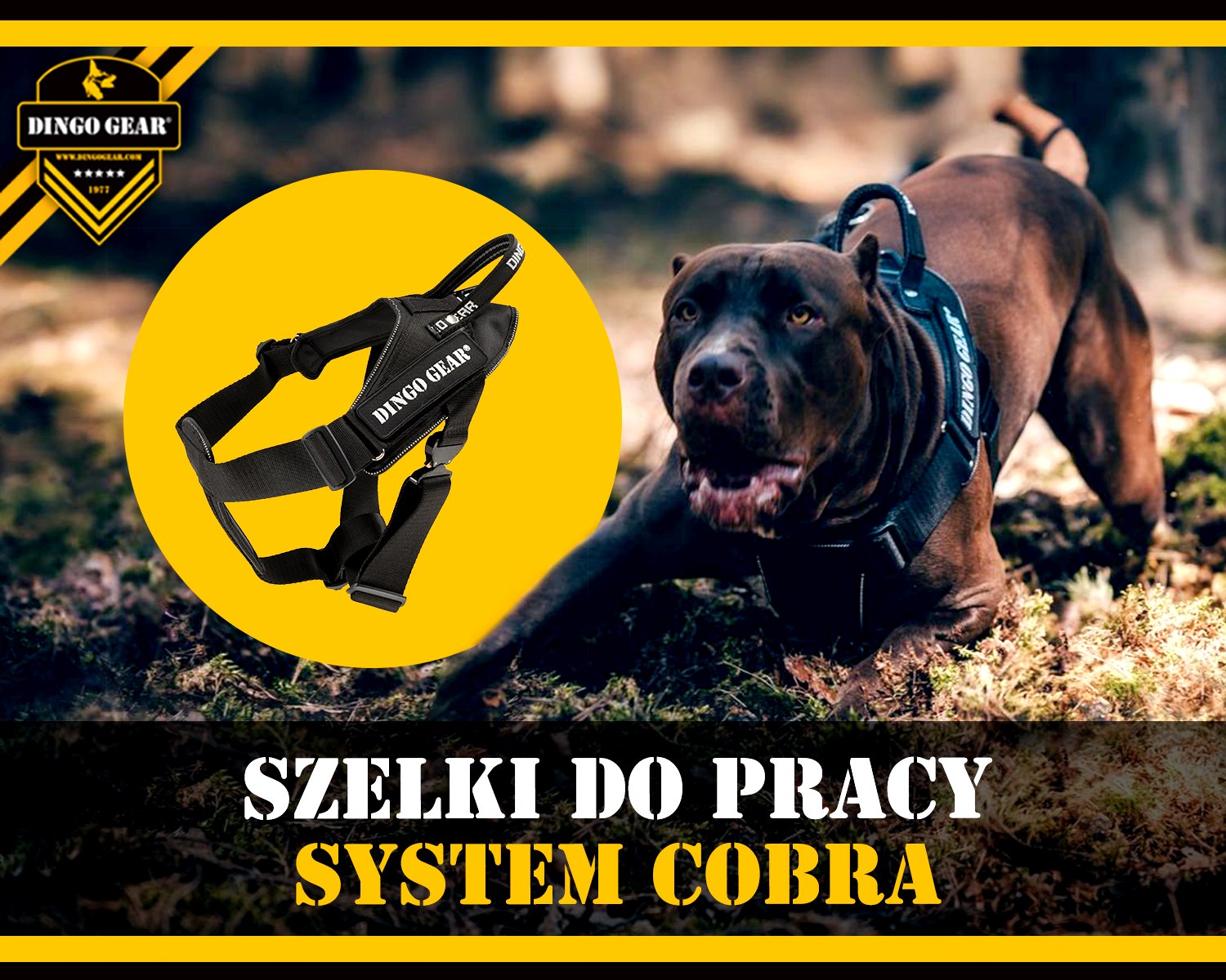 Wypróbuj szelki do pracy z systemem Cobra.