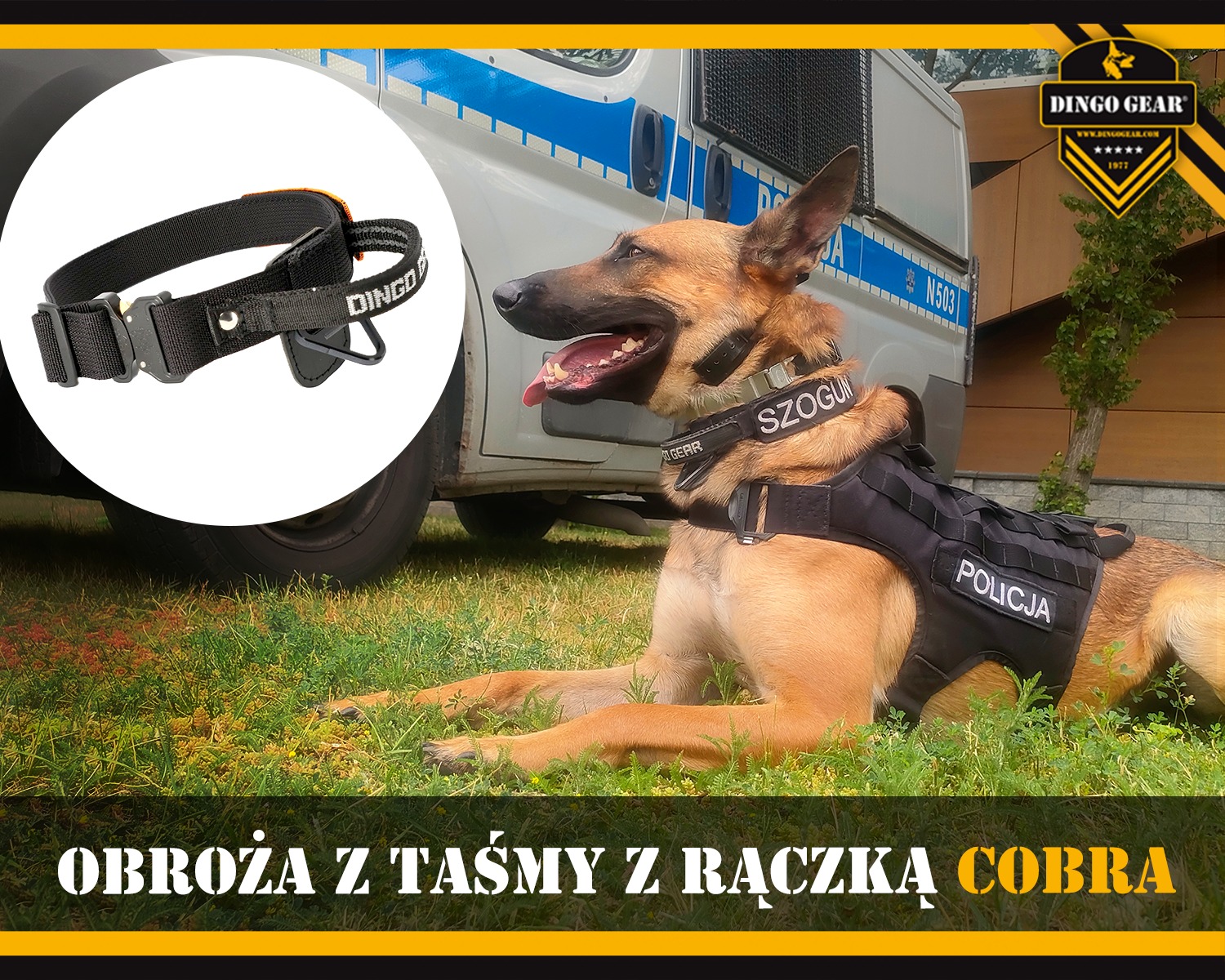 Upoluj obrożę z wygodną rączką oraz niezawodną klamrą COBRA.