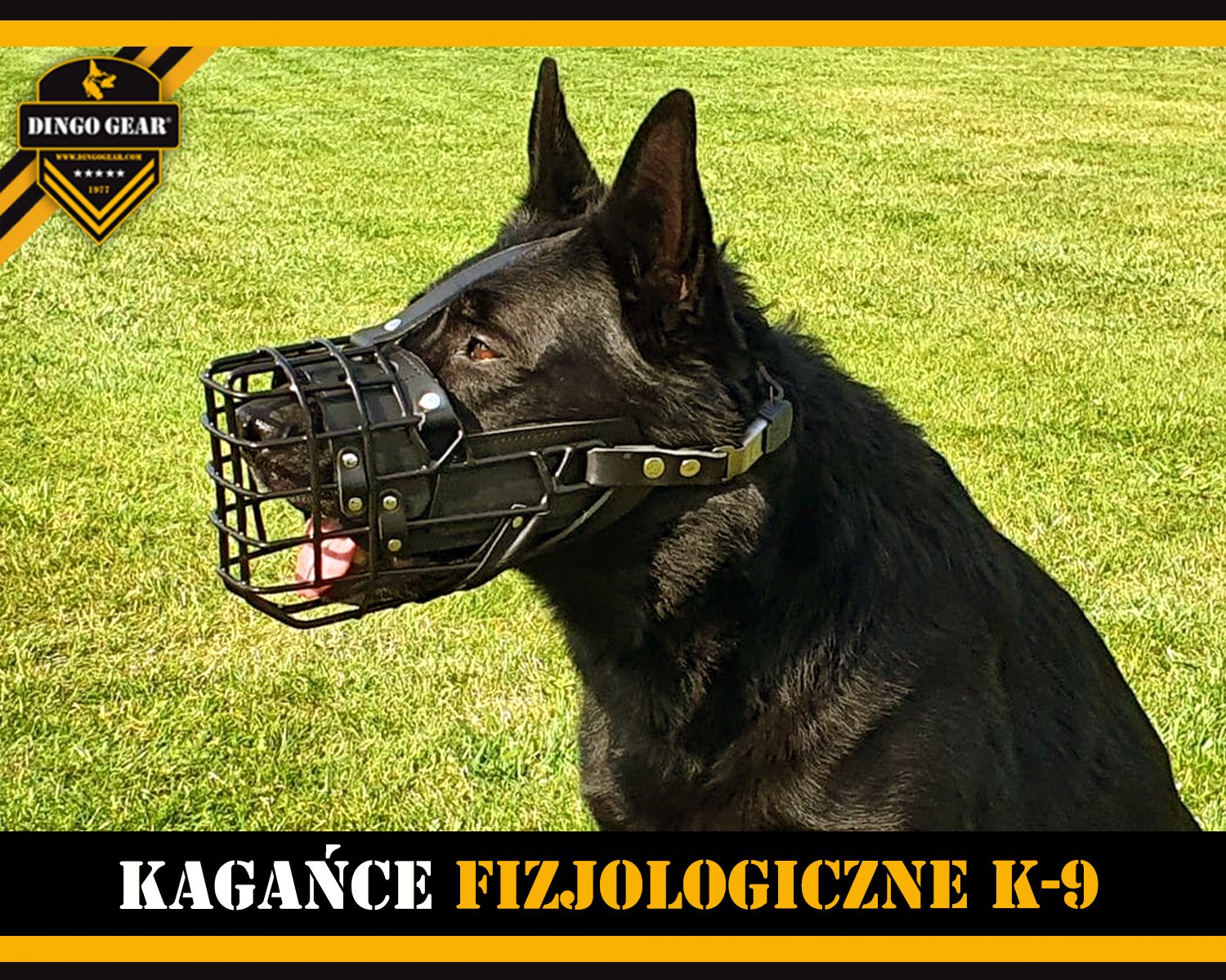 Wykorzystuj kagańce fizjologiczne k9