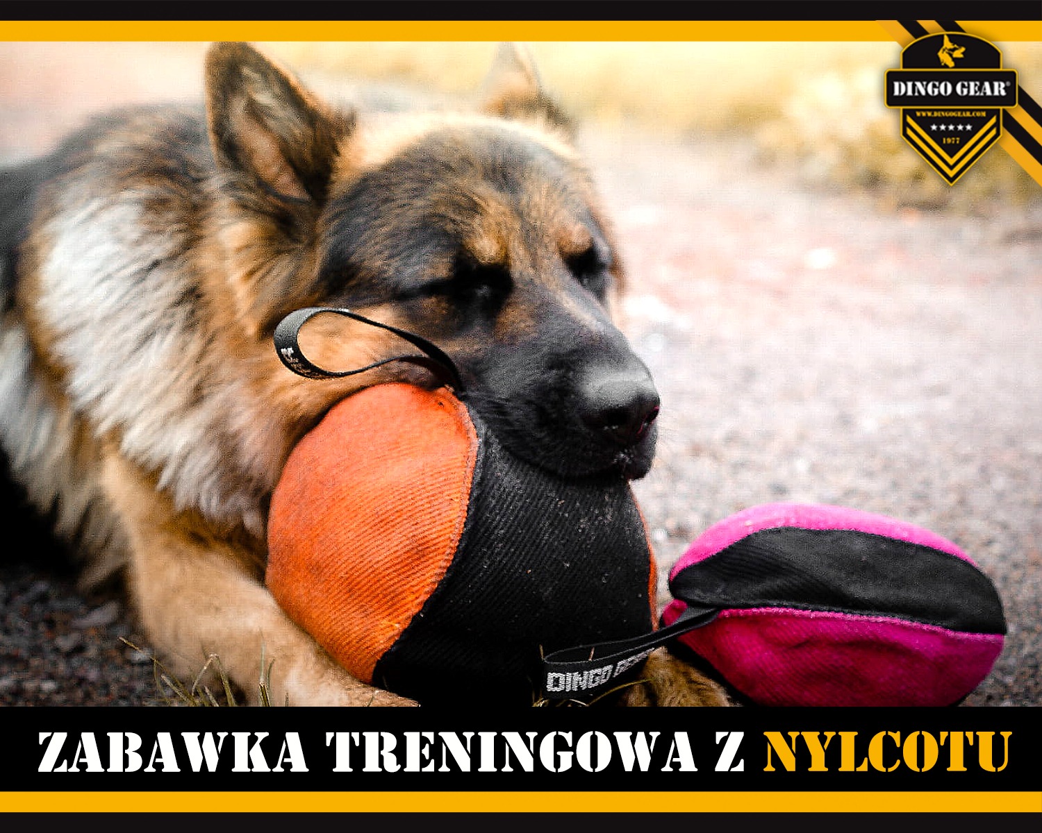 Szarpnijcie się na piłkę treningową z nylcotu