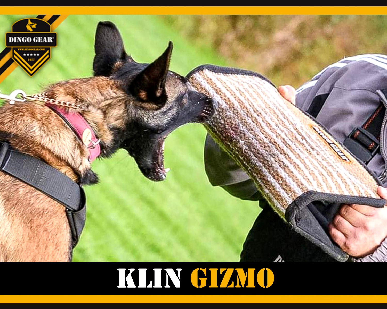 Stosuj klin GIZMO w czasie treningów