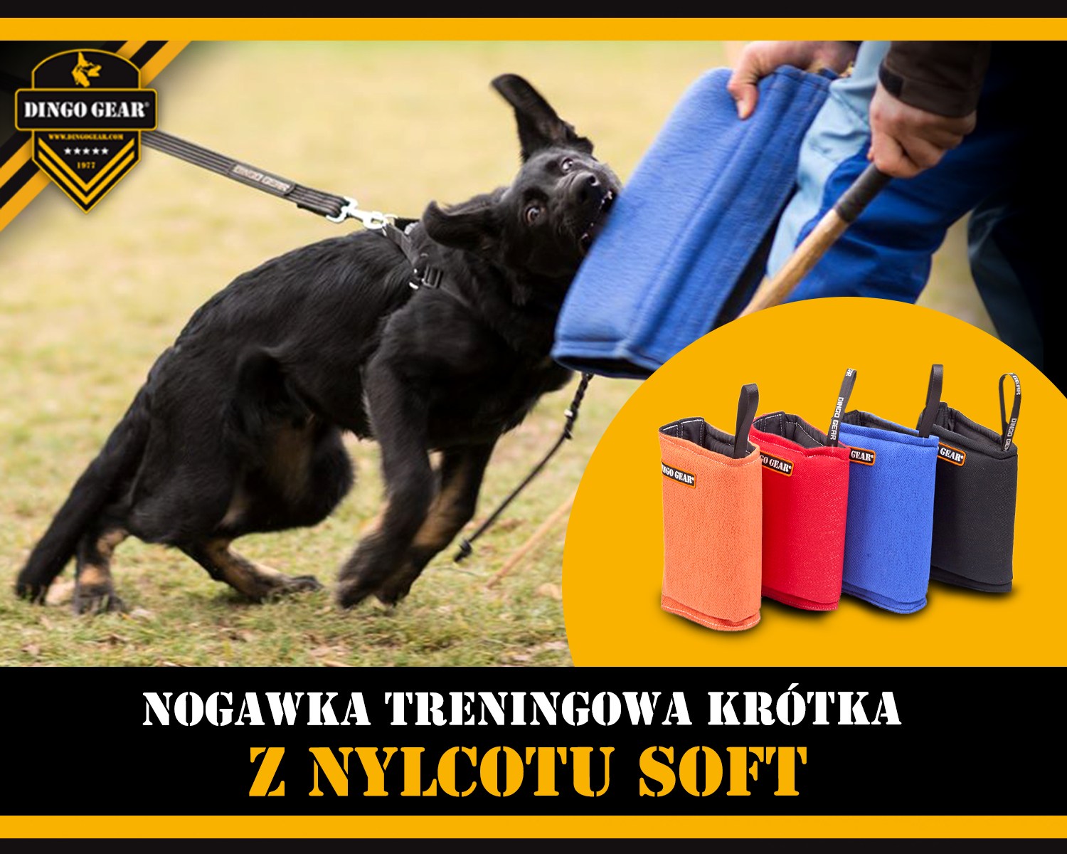 Pracuj z krótką nogawką treningową z nylcotu SOFT