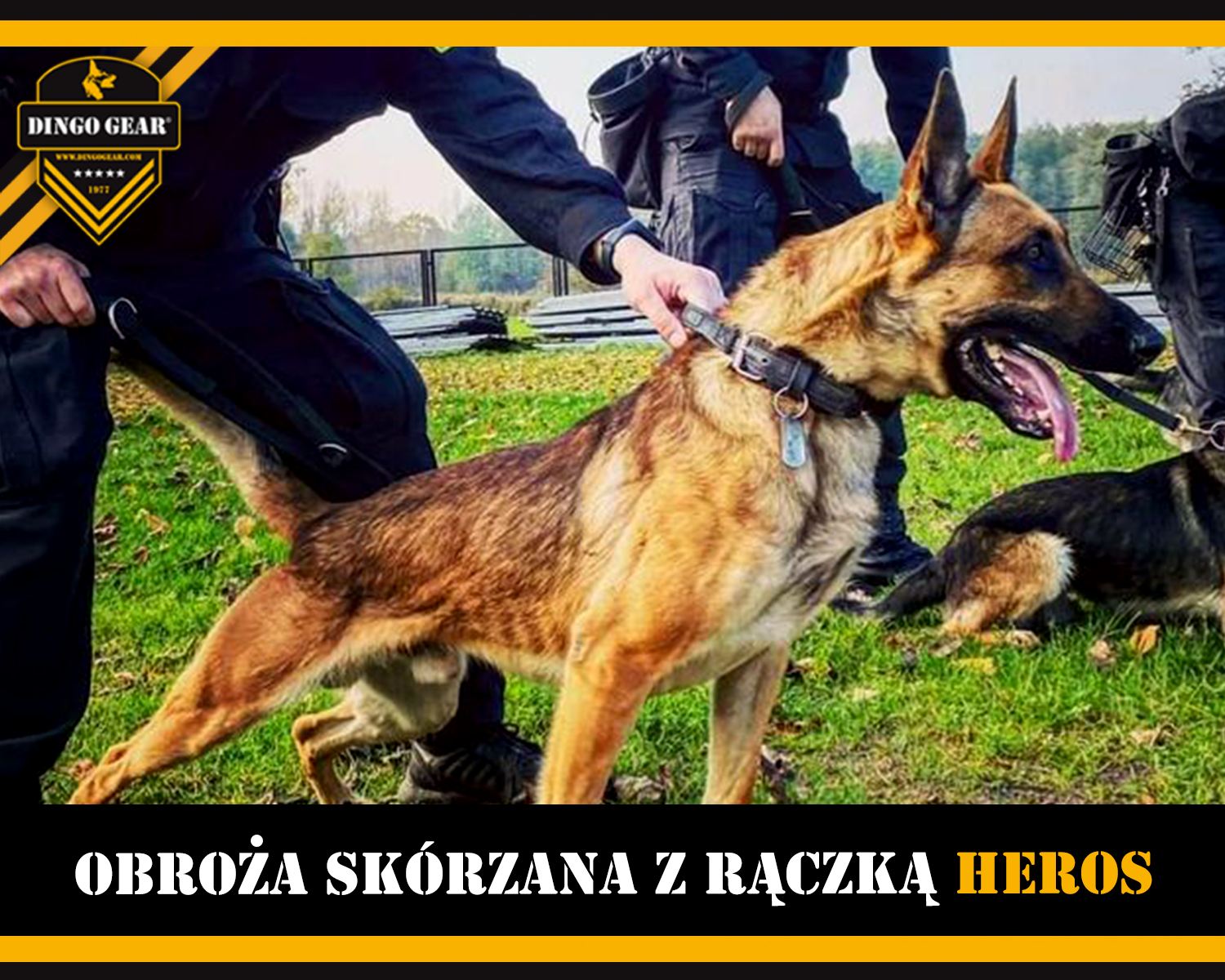 Kup dla swojego psiego bohatera obrożę Heros.