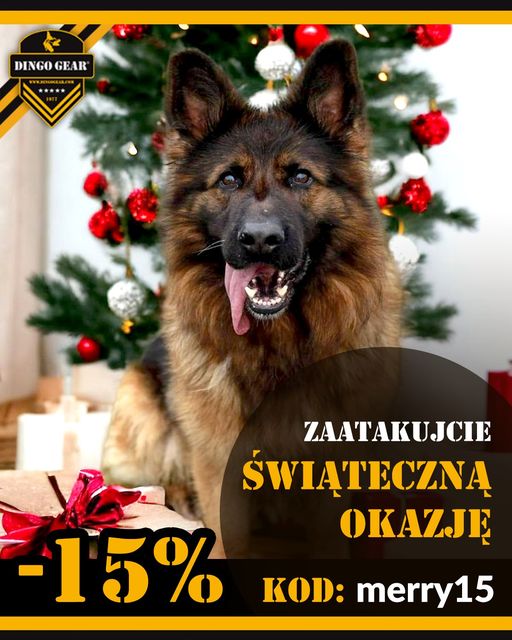 Zaatakujcie świąteczną okazję w dniach 22-26.12.2023