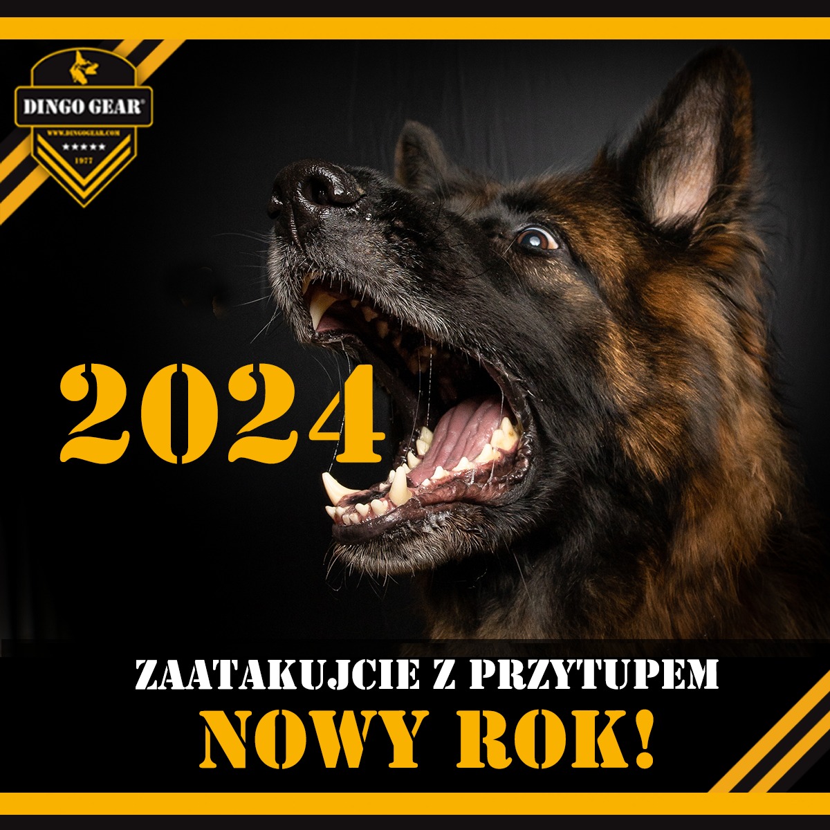 Zaatakujcie z przytupem Nowy Rok 2024