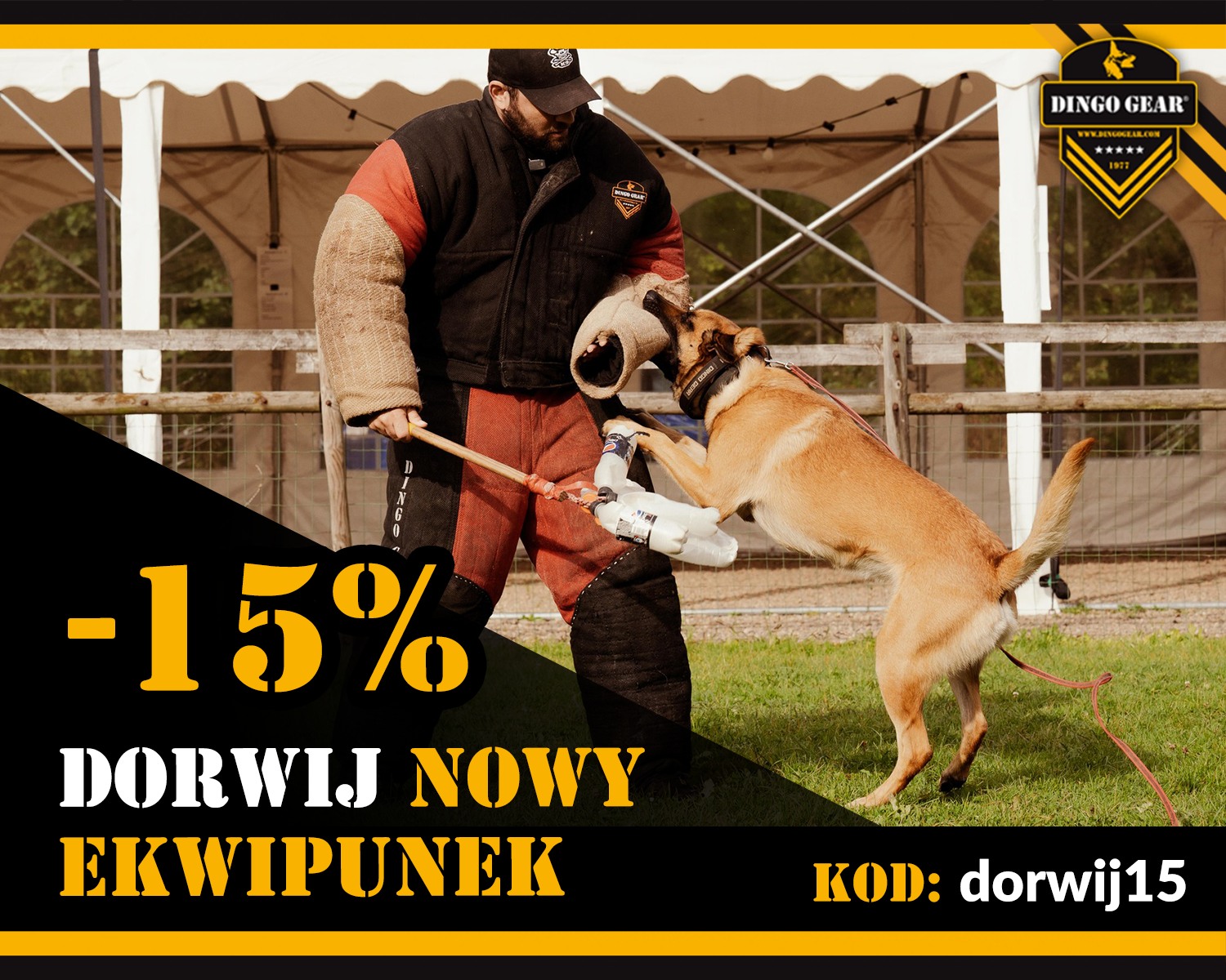 Dorwij nowy ekwipunek Dingo Gear  w dniach 05-07.01.2024