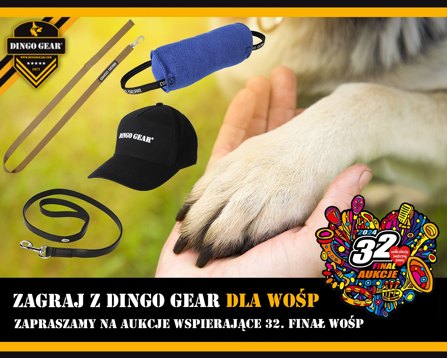 Zagraj z Dingo Gear dla WOŚP 2024 r. i licytuj na Allegro.pl