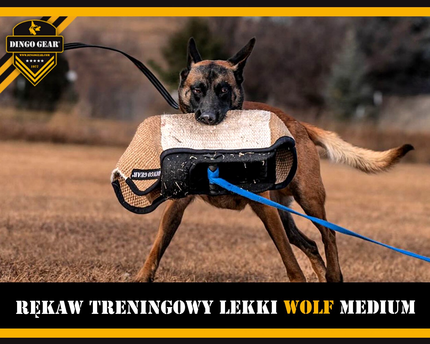 Zakaszcie rękawy do treningowej wrzawy z rękawem treningowym lekkim Wolf Medium.