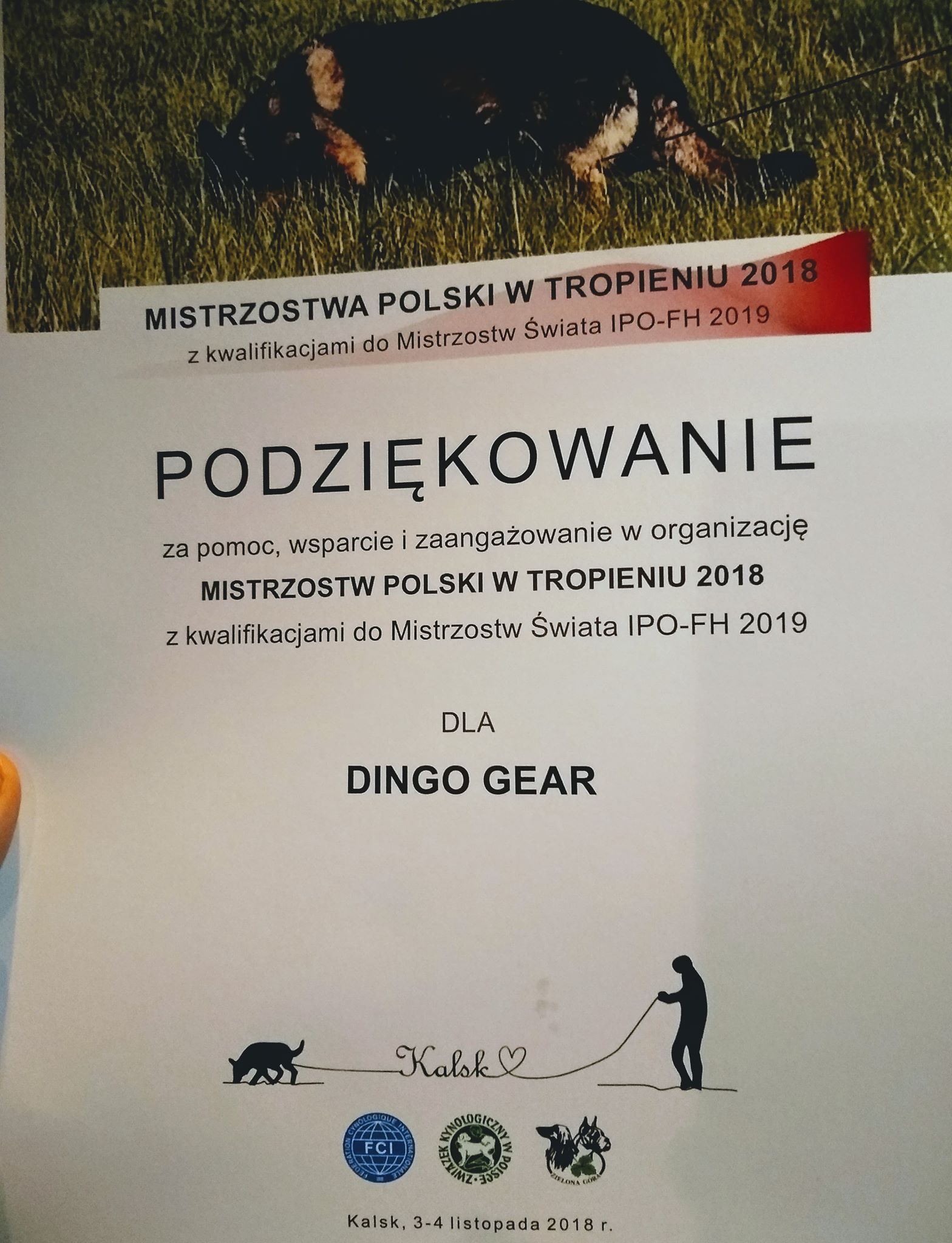 Mistrzostwa Polski w Tropieniu 3-4.11.2018 Kalsk – kwalifikacje do Mistrzostw Świata IPO-FH2019