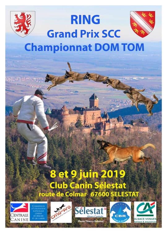 Mistrzostwa Ring Grand Prix Francja – 8-9.06.2019