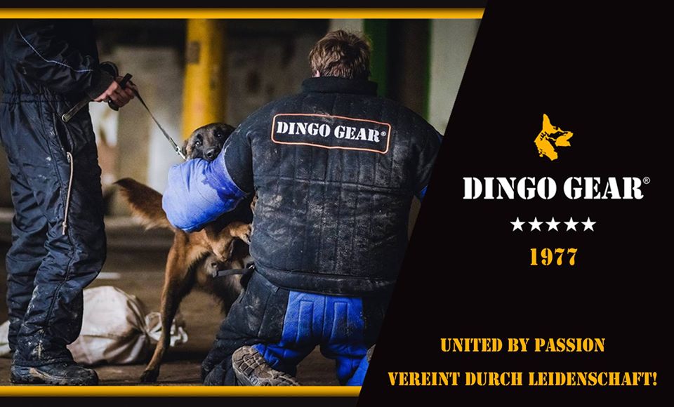 Dingo Gear w United Kingdom i Deutschland