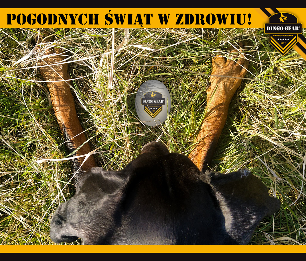 Pogodnych Świąt w zdrowiu życzy Dingo Gear