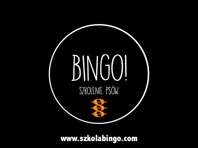 Logo partnera
