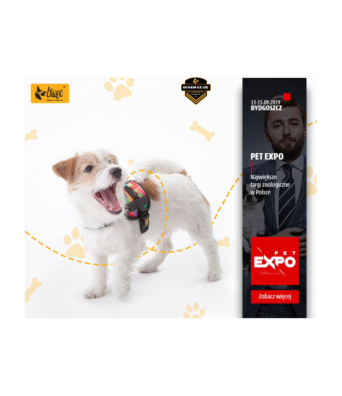 Targi PET EXPO Bydgoszcz 13-15.09.2019