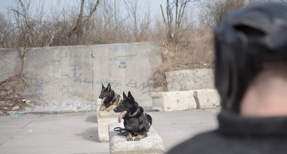 SPARTAKUS NEWS:  K9 DEFENSE DOG TRAINING
