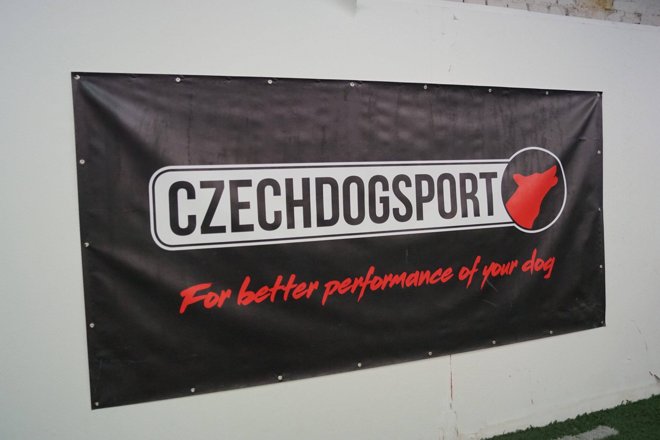 Czechdogsport – partner Dingo Gear