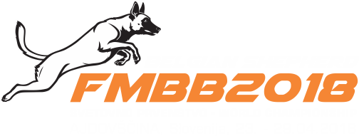FMBB 2018 Słowenia Ajdovscina