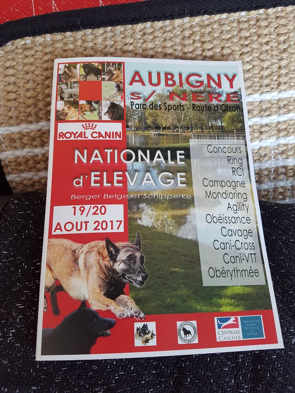 Francja Aubigny s:/ Nere 19-20 sierpień 2017 Dingo Gear i tysiąc psów