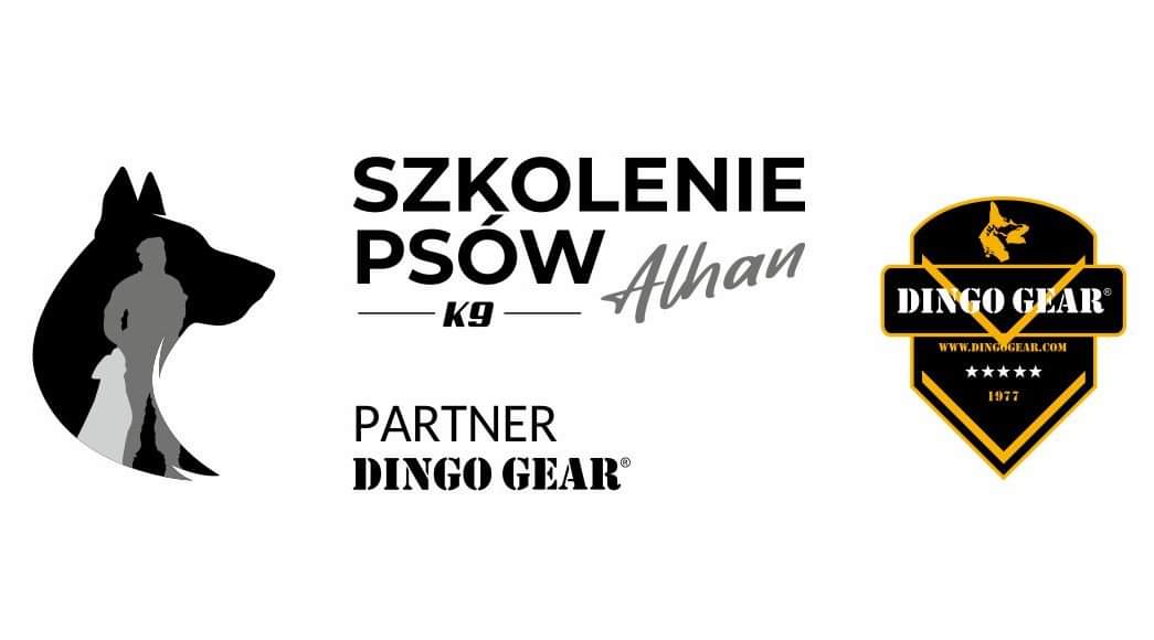 Trenuj ze sprzętem Dingo Gear-rekomendacja